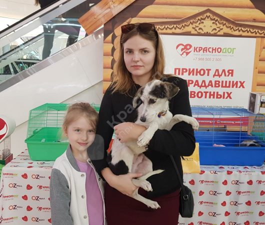Пикачу